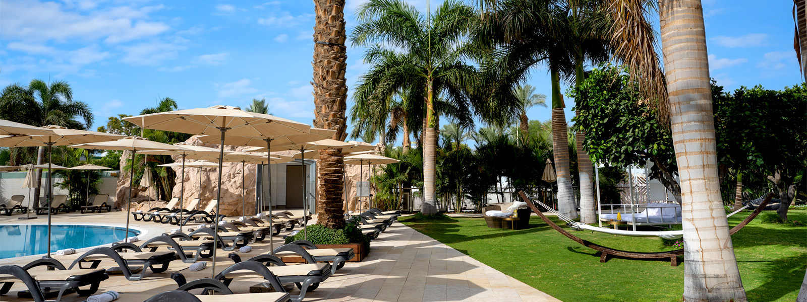 Discover the Ultimate Luxury Experience at Dan Hotel Eilat - A Deep Dive into Comfort and Elegance